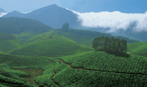 Ooty Kumarkaom Tour
