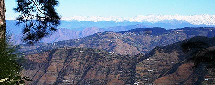 Potter Hills Shimla