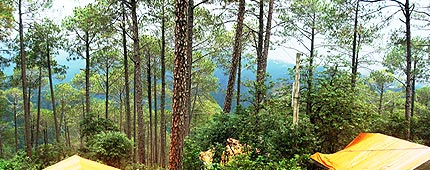Potter Hills Shimla