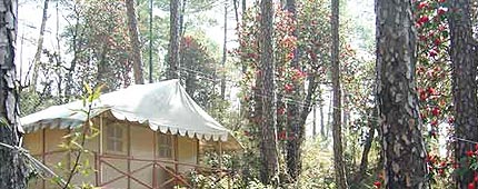 Potter Hills Shimla