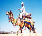Rajasthan Tour with Beach Holidays