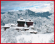 Gulmarg