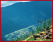Uttaranchal
