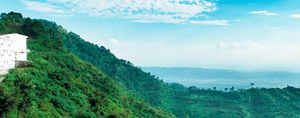 Timber Trail Parwanoo