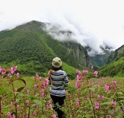 Valley of Flowers National Park