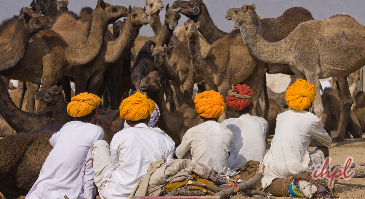 Pushkar