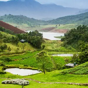 Ooty