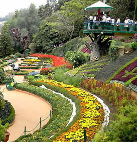 Ooty