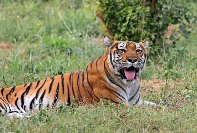 Photo Gallery of Delhi zoo- Explore Delhi zoo with Special Attractive