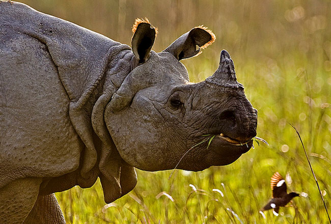 Photo Gallery of Orissa Tourist Attractions Explore