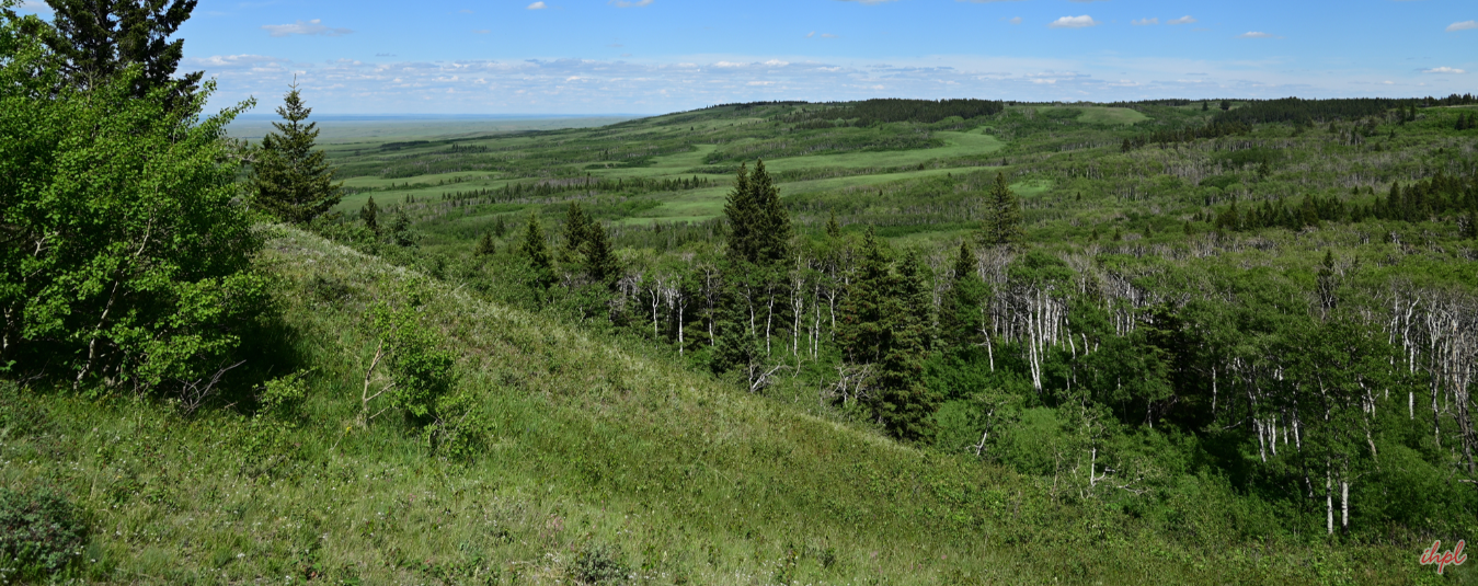 Cypress Hills Canada Cypress Hills Interprovincial Park
