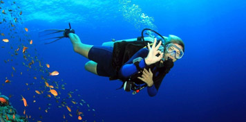 Snorkeling & Scuba Diving