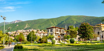 Bursa