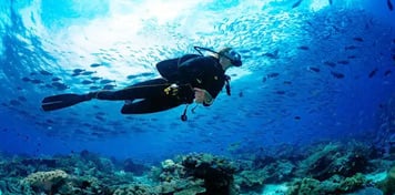 Scuba Diving