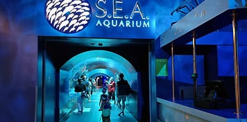 S.E.A Aquarium
