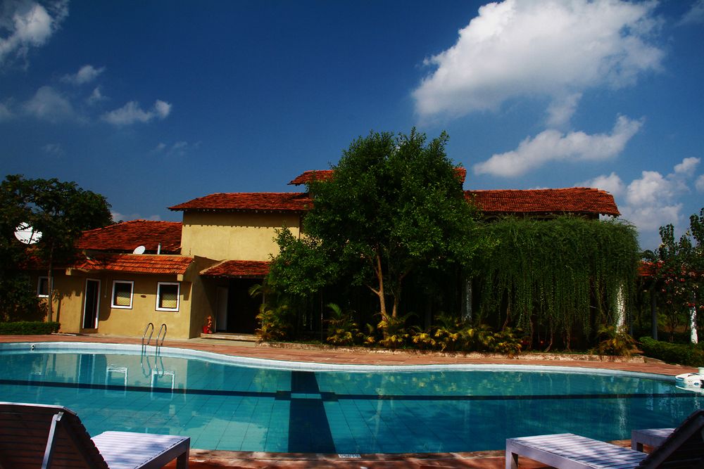Swimming Pool in Chitvan Jungle Lodge, Kanha