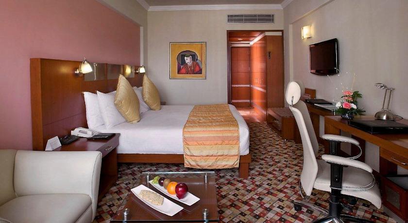 Suite room in The Suryaa, New Delhi 