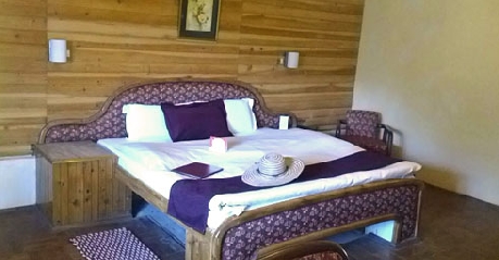 Suite in Guncha-Siddhartha-Hotel