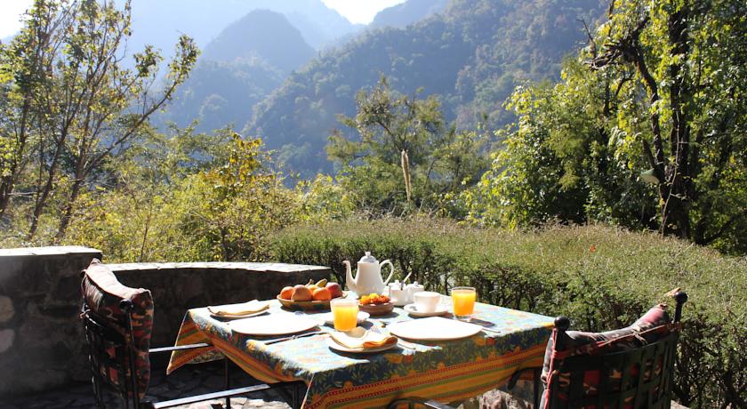 Tea Dining in Tree Of Life Himalayan Hideaway Lodge