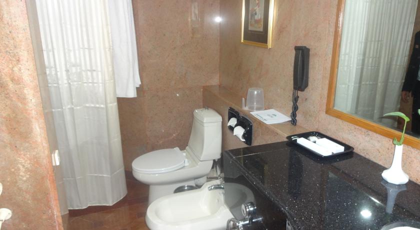 Bathroom in Hotel Gem Park Ooty
