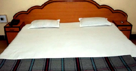 Suite in Hotel Ellis, Gandhinagar