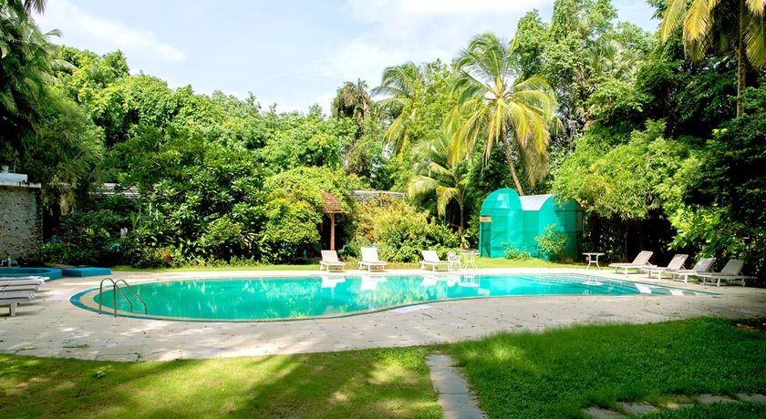 swimming-pool-garden