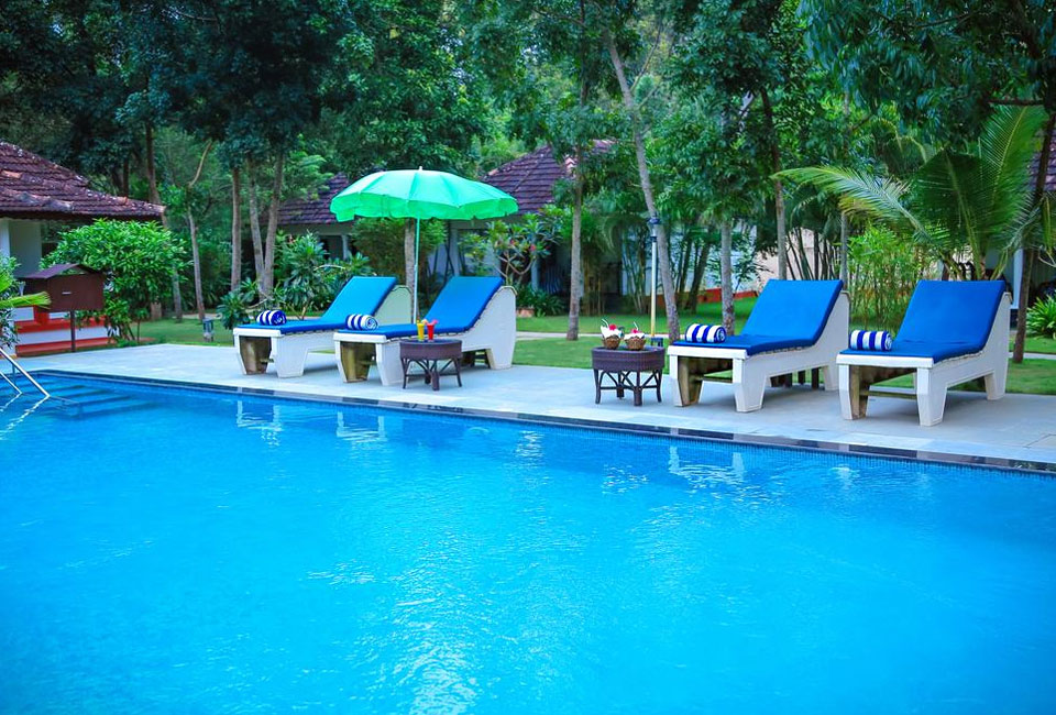 tree-of-life-marari-sands-beach-resort-swimming-pool