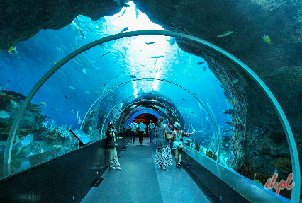 aquarium and marine museum sabah