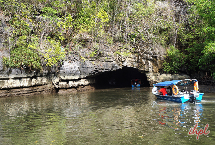 Mangrove and Caves 