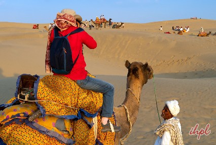 camel safari in rajasthan