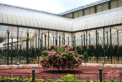 Lal Bagh Botanical garden in Bengaluru