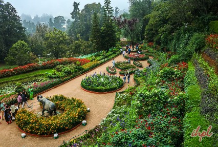 ooty botanical garden