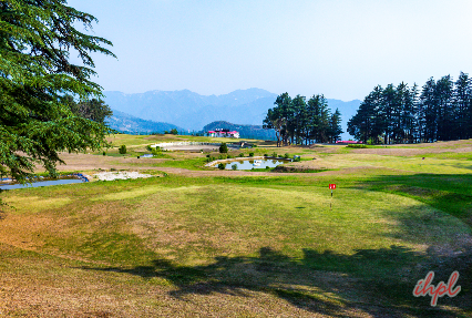 Golf skills in Naldehra