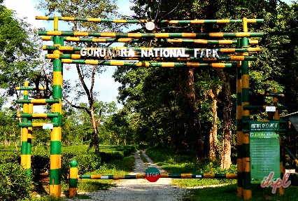 Gorumara national park