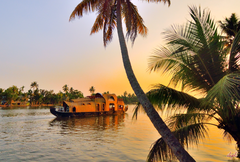 munnar-and-alleppey-tour-backwater-2