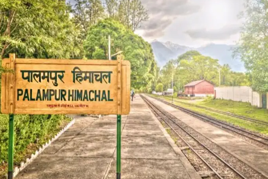 3 Days Tour to Palampur from Chandigarh