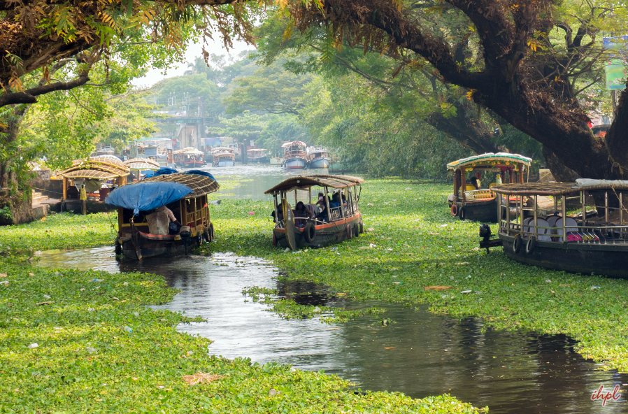 2-days-tour-to-alleppey-from-kochi-gallery-2
