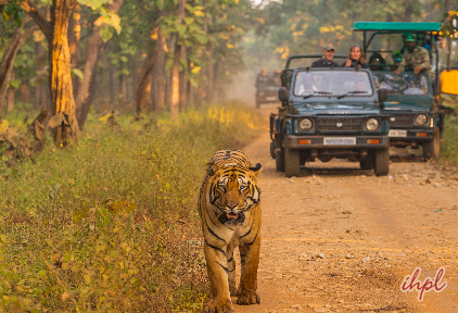 safari at Madhav National Park