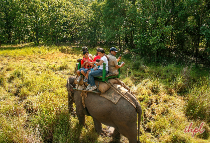 Madhav National Park