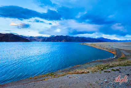  Tsomoriri Lake, Leh Ladakh