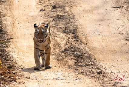  kanger ghati national park