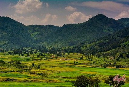  Araku Valley Andhra Pradesh