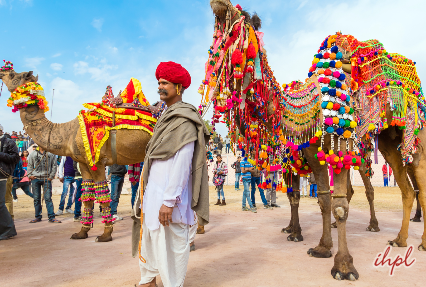 ladera camel festival bikaner