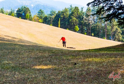 Naldehra Golf Course, Shimla