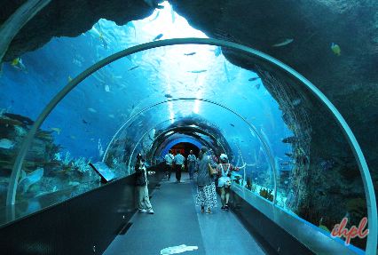 underwater aquarium in singapore