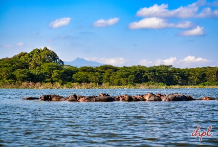 Kiunga Marine National Reserve Park in Kenya