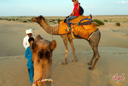 Camel Safari Bikner