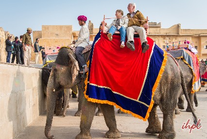Elephant ride at Amer Fort