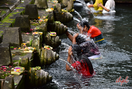 Honeymoon in Bali  4 Days Bali Honeymoon Package  IHPL