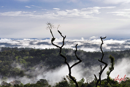coorg Tour Packages
